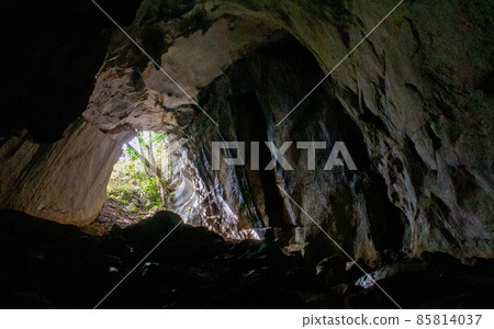 Kitakyushu Hiraodai Soryu Cave Exploration Kitakyushu Hiraodai Soryu Cave Exploration 85814037