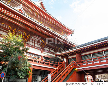 Osu Kannon 85814148