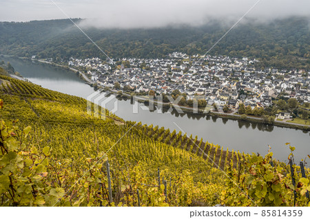Famous German Wine Region Moselle River Lay village 85814359
