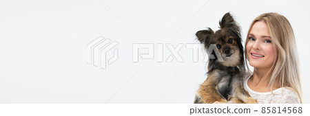 The dog is tilting its head and its ears are sticking out. The girl holds the dog in her arms. Panorama. A multi-breed dog. The dog is tilting its head and its ears are sticking out. The girl holds the dog in her arms. Panorama. A multi-breed dog. 85814568