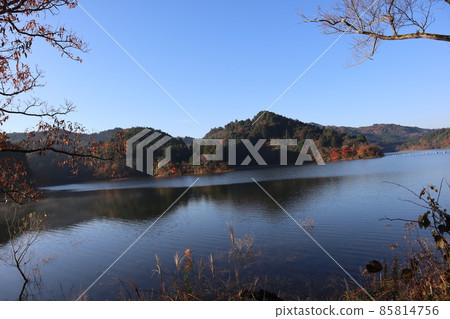 Winter dead trees with dead grass and dead leaves, a pond on the surface of the ripples that captures the vague scenery, mountains with autumnal trees, and a landscape of the blue sky 85814756