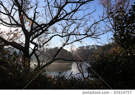 A landscape where you can see the morning mist, the pond, the mountains of the trees that turn red, the white clouds, the blue sky, and the white sky through the gaps between the dead trees and vegetation. 85814757