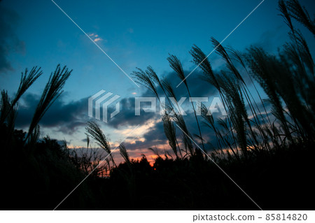 Suspension swaying in the wind 85814820