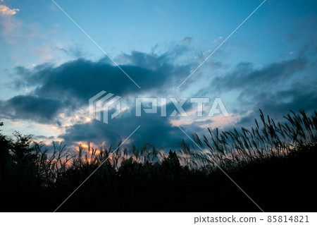 Suspension swaying in the wind 85814821