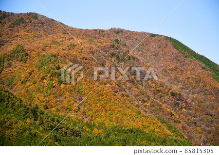 Gandatekyo美麗的秋天風景 Gandatekyo美麗的秋天風景 85815305