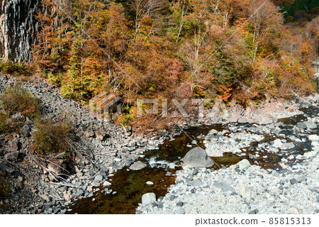 Beautiful autumnal scenery of Gandatekyo 85815313