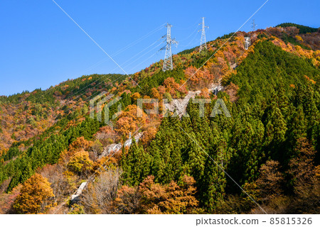 Beautiful autumnal scenery of Gandatekyo Beautiful autumnal scenery of Gandatekyo 85815326