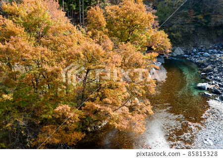 Gandatekyo美麗的秋天風景 Gandatekyo美麗的秋天風景 85815328