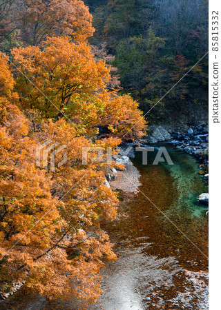 Beautiful autumnal scenery of Gandatekyo Beautiful autumnal scenery of Gandatekyo 85815332