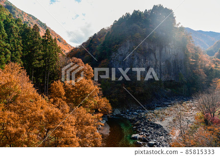 Beautiful autumnal scenery of Gandatekyo 85815333