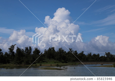 夏の雲 夏の雲 85815946