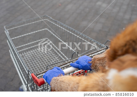 During a pandemic, you must wear latex gloves on your hands when shopping at any store. During a pandemic, you must wear latex gloves on your hands when shopping at any store. 85816010