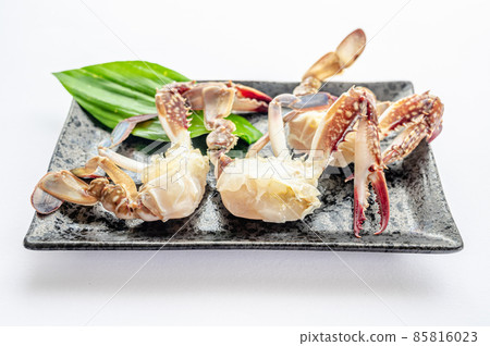 盤子上的洄游蟹 85816023