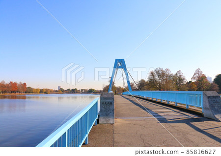 位於東京都葛飾區水本公園的水本大橋，僅供行人使用 85816627