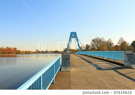 Mizumoto Ohashi in Mizumoto Park, Katsushika-ku, Tokyo, for pedestrians only Mizumoto Ohashi in Mizumoto Park, Katsushika-ku, Tokyo, for pedestrians only 85816628