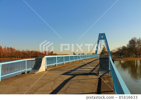 Mizumoto Ohashi in Mizumoto Park, Katsushika-ku, Tokyo, for pedestrians only 85816633