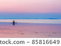 Lilac Pink Seascape With Gentle Dawn at the Calm Lake 85816649