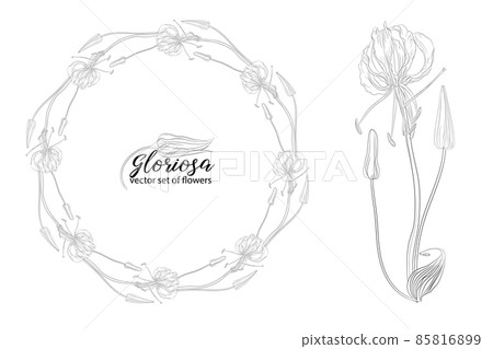 vector set of flowers and beads glorasa Gloriosa vector set of flowers and beads glorasa Gloriosa 85816899