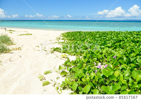 Superb view of Hateruma Island Nishihama 85817167