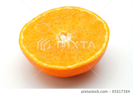 紅色瘋狂 85817384