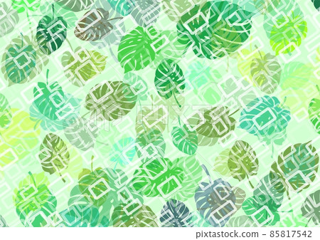 Green background with white rectangles with leaves of a plant called monstera as a base for designing your own works 85817542