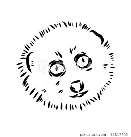 Lemur Loris on a tree vector illustration, hand drawn sketch, black and white. Ink pen cute lori chinese animal sitting on a tree. 85817795