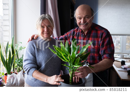 Senior caucasian woman and man planting flower at home. 85818211