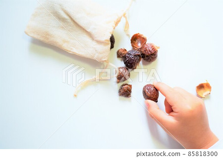 孩子們的手從白色背景的麻袋中挑選肥皂堅果 85818300