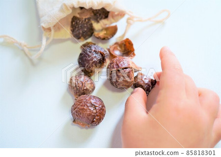 Children's hands grabbing soap nuts from a hemp bag on a white background Children's hands grabbing soap nuts from a hemp bag on a white background 85818301