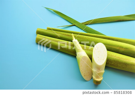 Makomo's wild rice parasitized by smut on a blue background Makomo's wild rice parasitized by smut on a blue background 85818308
