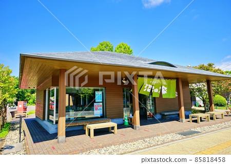 大沼團子“Numa no Ya”(北海道龜田郡七飯町大沼町) 大沼團子“Numa no Ya”(北海道龜田郡七飯町大沼町) 85818458