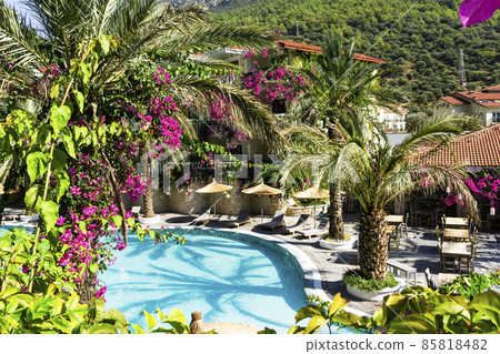 Luxury tropical resort or private villa with turquoise pool, sunbeds, umbrellas and palms. Relaxation and vacation concept 85818482