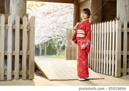 Beautiful Japanese women 85818606