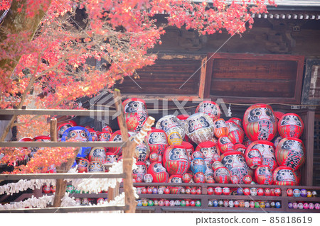 Lots of Dharma! Autumn colors Lots of Dharma! Autumn colors 85818619
