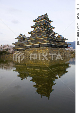 Cherry blossoms in full bloom and Matsumoto Castle in the evening [Nagano Prefecture] 85819104