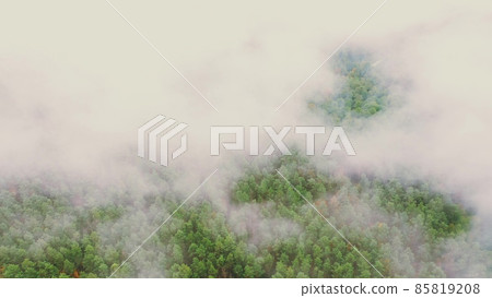 Lower Clouds Moving Above Autumn Pine Forest. Aerial View 4K Flight Above Amazing Misty Forest Landscape. Scenic View Of Autumn Foggy Morning In Misty Forest Park Woods. Nature Elevated View 85819208