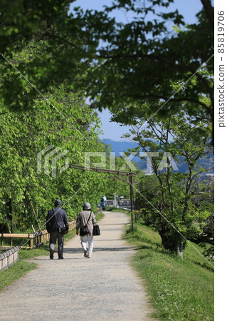 Walking together 1 Elderly couple vertical Walking together 1 Elderly couple vertical 85819706