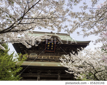 北鎌倉 / 建長寺 三門和櫻花 北鎌倉 / 建長寺 三門和櫻花 85820148