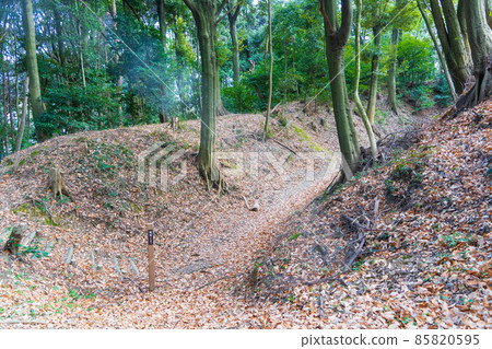 Kawachinagano City Karasuhata Castle Ruins Cut 85820595