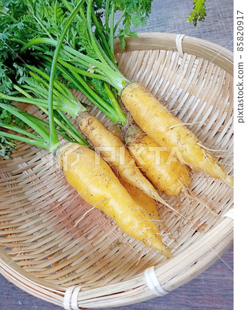 菜園裡破爛的黃胡蘿蔔(黃胡蘿蔔) 菜園裡破爛的黃胡蘿蔔(黃胡蘿蔔) 85820917