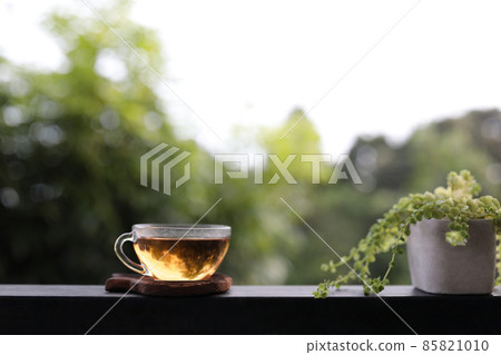Hot tea cup and Phyllodium pulchellum plant pot Hot tea cup and Phyllodium pulchellum plant pot 85821010