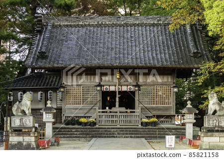 Okazaki Sugao Shrine Haiden, Okazaki City, Aichi Prefecture 85821158