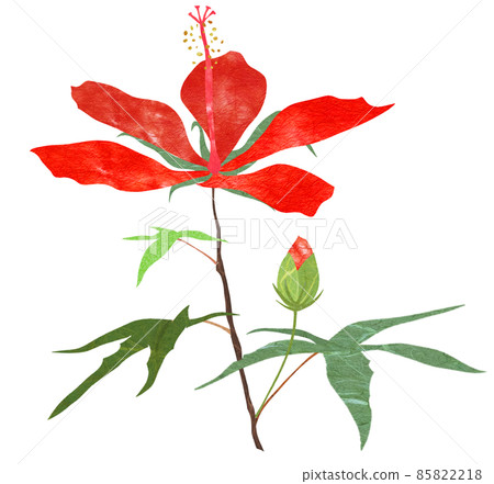 在夏天開花的大紅色花猩紅色薔薇 2 85822218