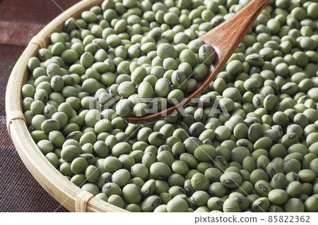 青豆青豆青豆 青豆青豆青豆 85822362