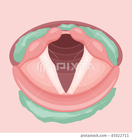 Swallowing endoscopy _VE_ residual 85822711