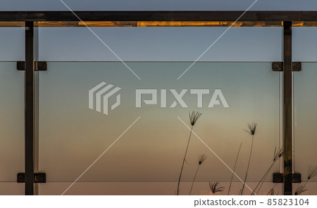 Pampas grass plumes grows on the floor outside of glass balcony with sky background. Pampas grass plumes grows on the floor outside of glass balcony with sky background. 85823104