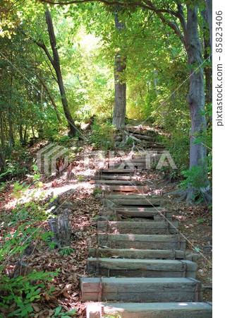 Kanetsukidosan Yorii Kanetsuki Doyama Stairs Furusato no Mori Hiking Mountain climbing Mountain climbing Trekking 85823406