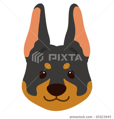 Simple and cute Doberman front face illustration without main line 85823645