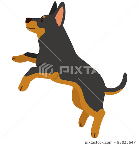 Simple and cute Doberman illustration that jumps without main line Simple and cute Doberman illustration that jumps without main line 85823647