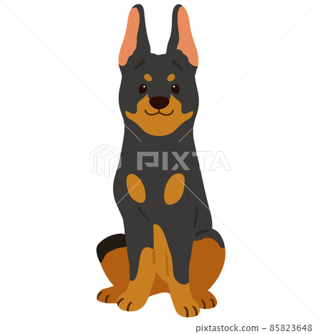 Illustration of a simple and cute Doberman sitting facing the front without a main line 85823648